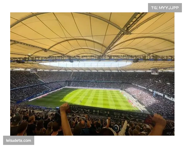 慕尼黑市为安联球场周边交通改造计划举行听证会